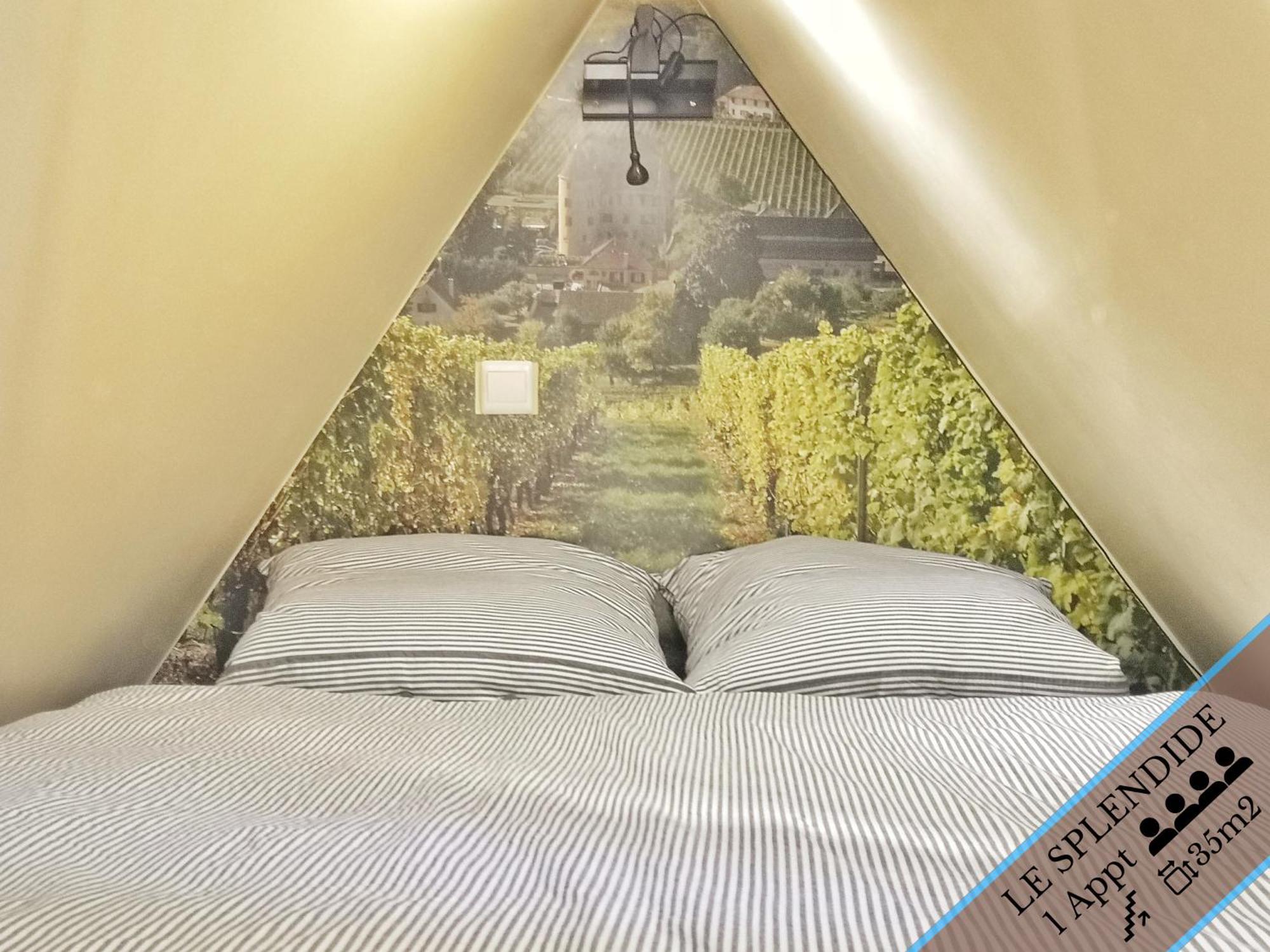 Splendide Appartement Barr - Route Du Vins Oda fotoğraf