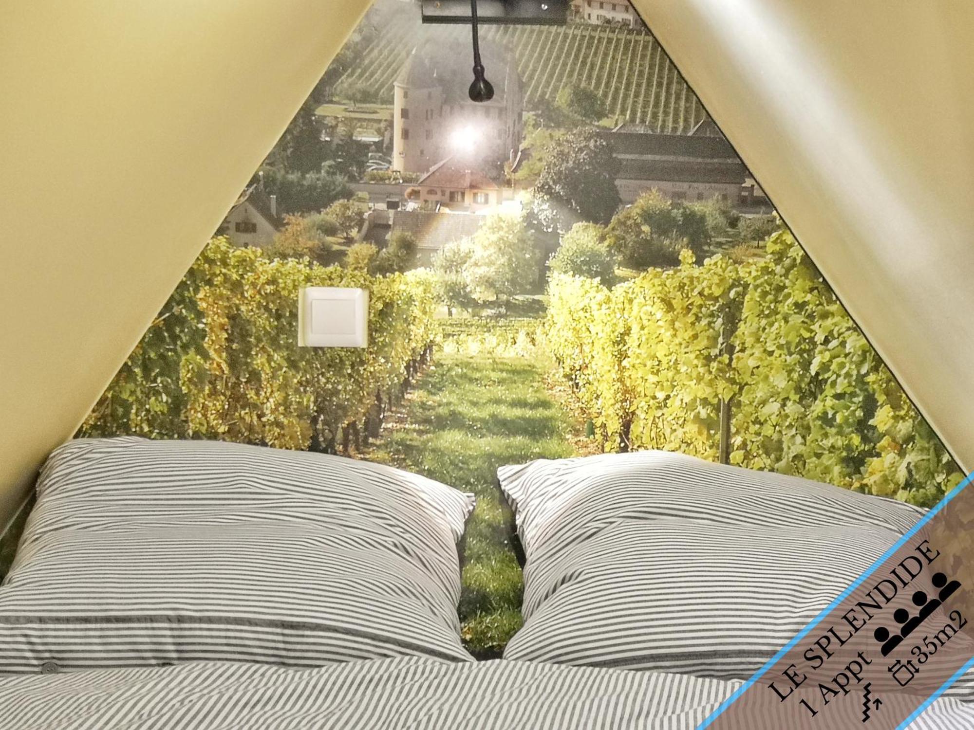 Splendide Appartement Barr - Route Du Vins Oda fotoğraf